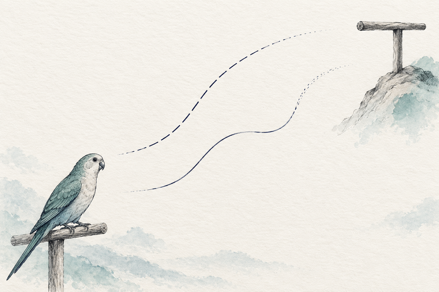 Target Training vs Luring: Two Ways to Teach a Bird New Skills